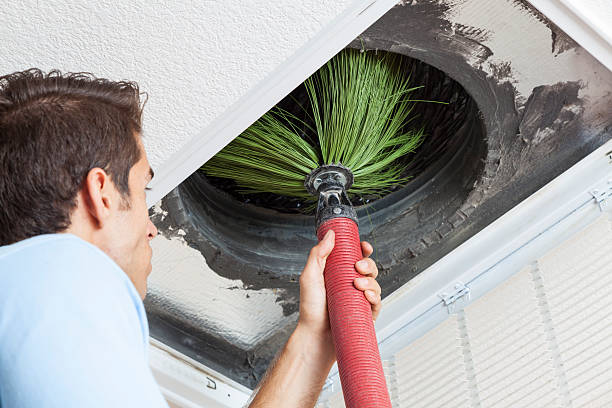 Best Professional Duct Cleaning Services  in Russells Point, OH